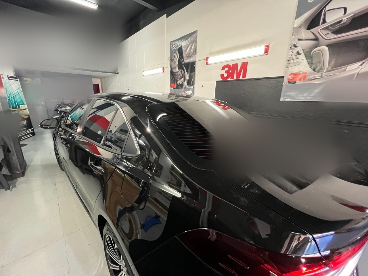 BMW Serie 3 · Polarizado